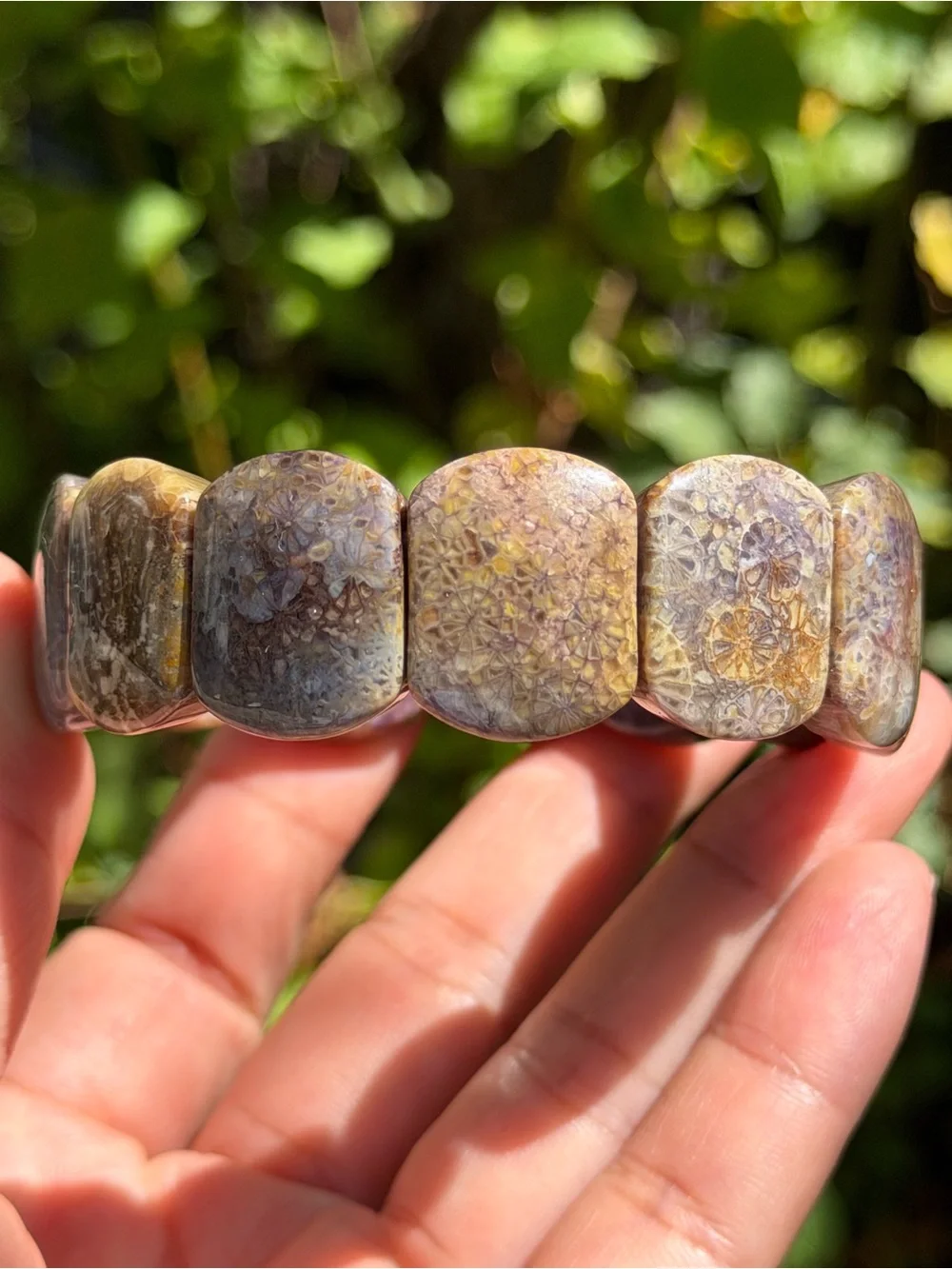 Handmade Fossil Coral Stretch Bracelet in Earth Tones Palo